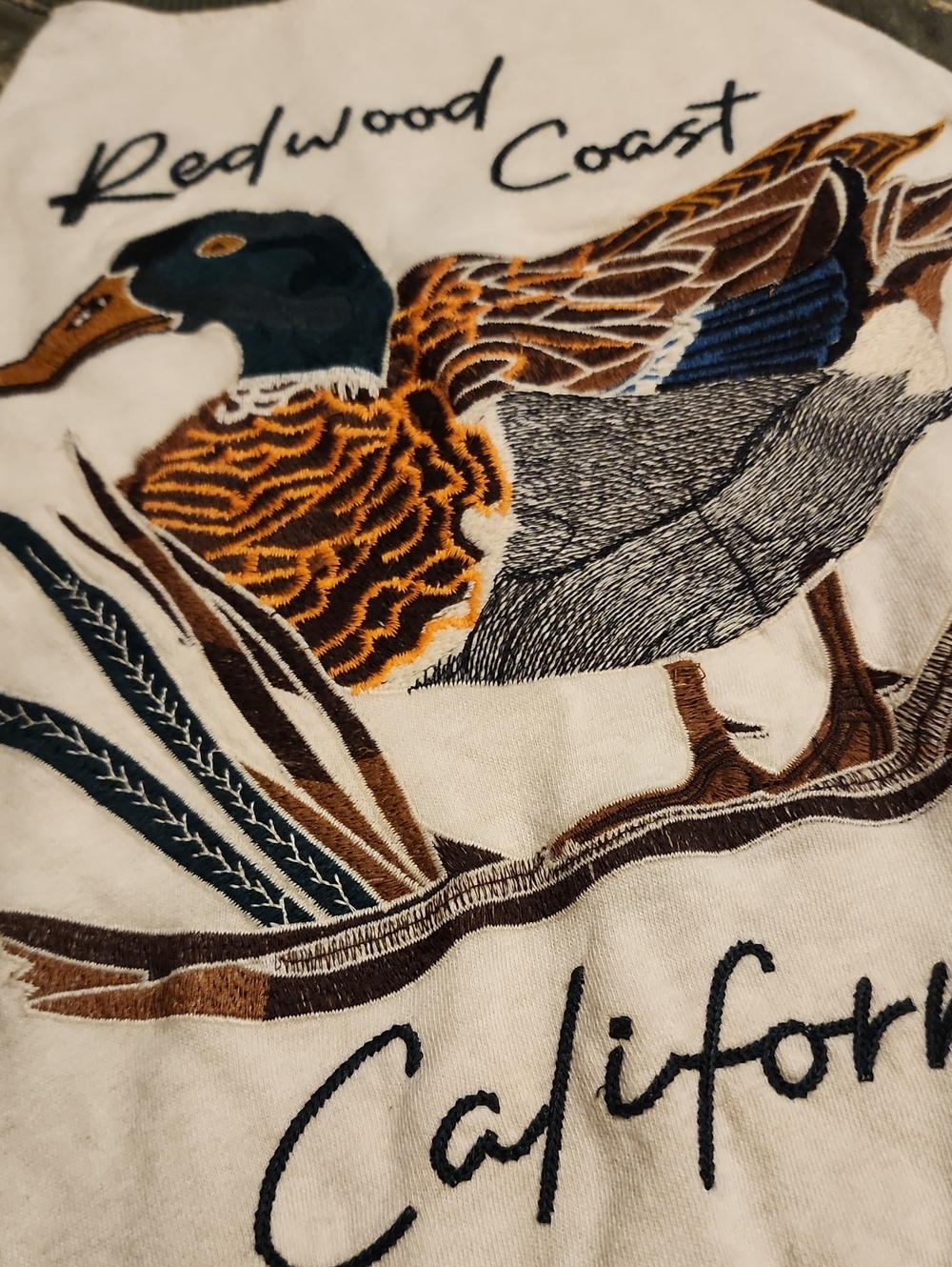 Pilcro Redwood Coast California Size Small - Picture 4 of 9